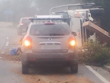 Camión 3/4 vuelca y colisiona a dos vehículos en la ruta Las Palmas en Viña del Mar: una persona resultó lesionada