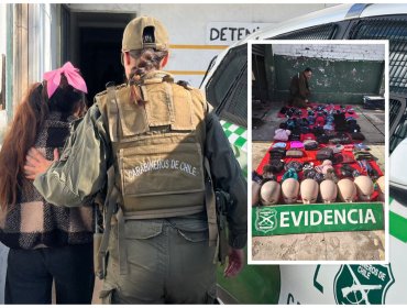 Ocho detenidos y más de 6 mil especies decomisadas en nuevo operativo contra el comercio ilegal en el centro de San Antonio