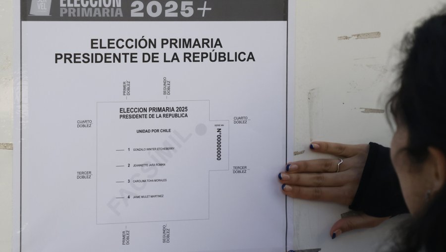 Primaria 2025: Oficialismo define al candidato que representará al sector en la elección presidencial de noviembre