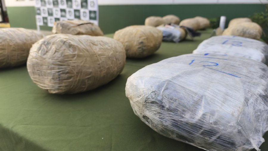 OS7 Valparaíso da fuerte golpe al narcotráfico en Nogales: Decomisan 350 kilos de marihuana en control carretero en la ruta 5 Norte