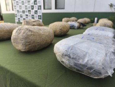 OS7 Valparaíso da fuerte golpe al narcotráfico en Nogales: Decomisan 350 kilos de marihuana en control carretero en la ruta 5 Norte