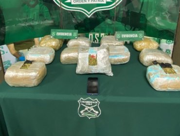 Carabineros ha decomisado 2.500 kilos de drogas durante lo que va de este año en la región de Valparaíso