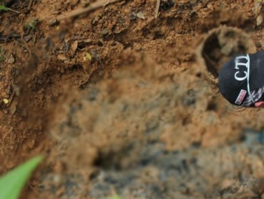 Encuentran cuerpos de ocho líderes sociales y religiosos en una fosa común en Colombia