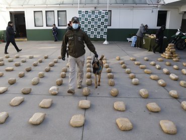 Incautación de drogas por parte del OS7 aumentó un 40% en el primer semestre de este año: equivale a 8.685 kilos más de sustancias ilícitas