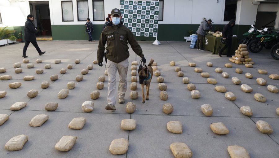 Incautación de drogas por parte del OS7 aumentó un 40% en el primer semestre de este año: equivale a 8.685 kilos más de sustancias ilícitas