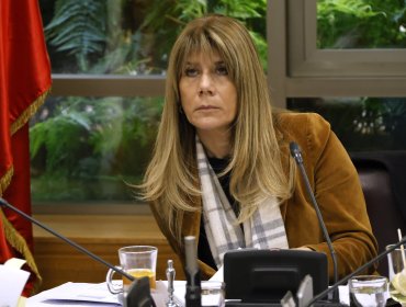 Presidenta de Demócratas afirmó que apoyaría a Evelyn Matthei si crean nueva coalición de centroderecha