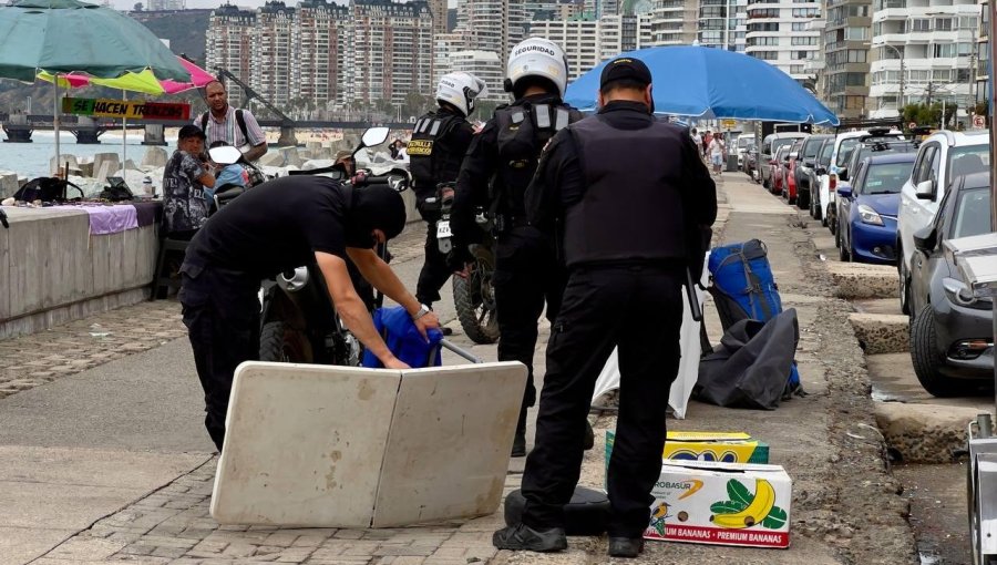 Más de 1.100 especies han sido retiradas durante operativos en el borde costero de Viña del Mar en los últimos tres meses