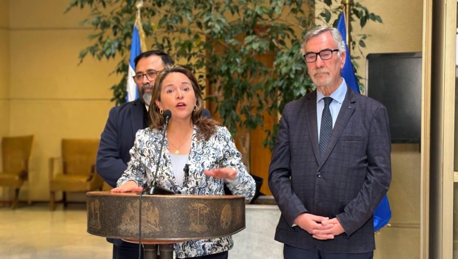 Demócratas emplazan al Gobierno por proyecto de voto obligatorio y llaman a "no pensar con la calculadora"