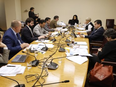 Comisión del Senado cita a altos mandos de FF.AA. y al Fiscal Nacional a sesión reservada por caso de exfuncionarios de la FACh