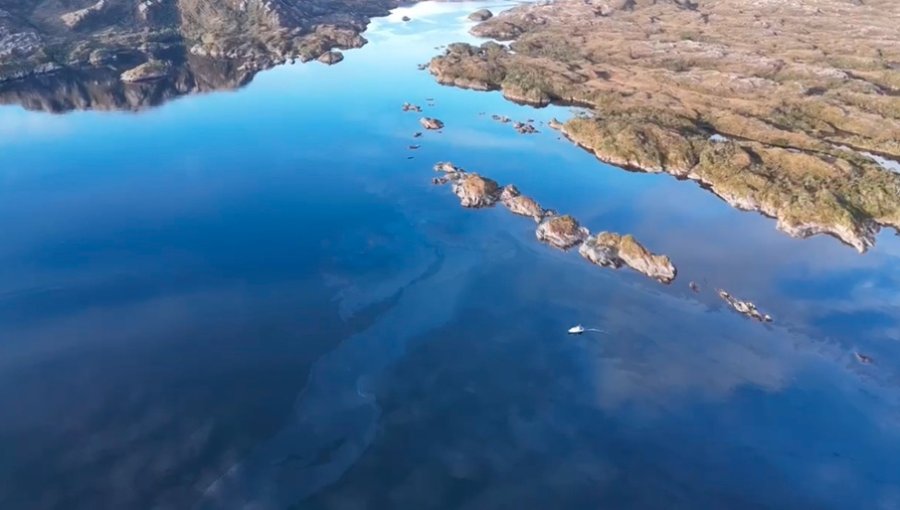 Superintendencia del Medio Ambiente indaga grave derrame de petróleo en planta de salmones en reserva nacional de la región de Magallanes