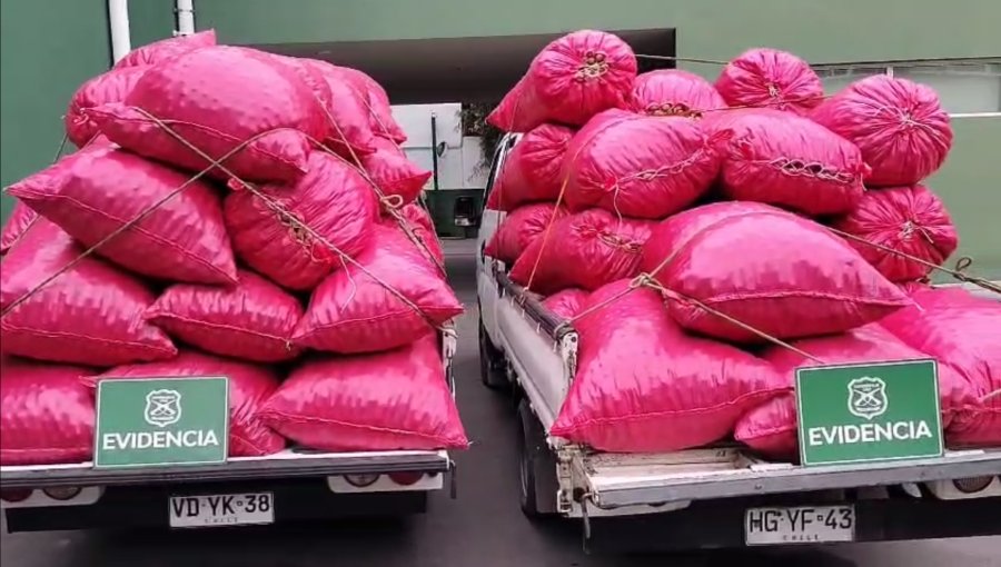 Capturan a cuatro sujetos que fueron sorprendidos con 2,5 toneladas de frutos secos robados desde un fundo en San Felipe