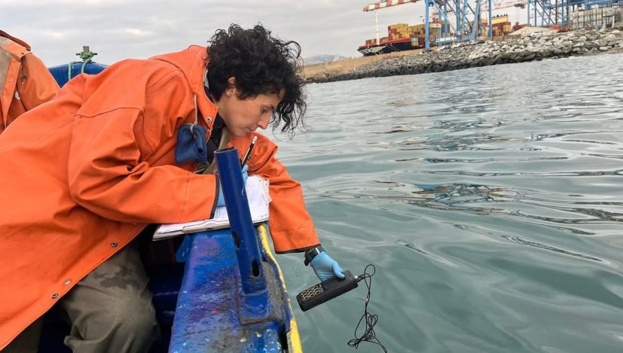 Armada anuncia investigación para determinar responsabilidades tras derrame de hidrocarburos en la bahía de Valparaíso