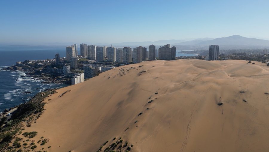 Alcalde de Concón lamentó ausencia de Reconsa en mesa por cuidado de las dunas: "Se requiere un esfuerzo mayor de protección"