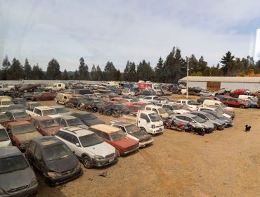 Más de 90 vehículos serán subastados en Valparaíso por aparcadero municipal