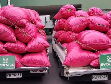 Capturan a cuatro sujetos que fueron sorprendidos con 2,5 toneladas de frutos secos robados desde un fundo en San Felipe