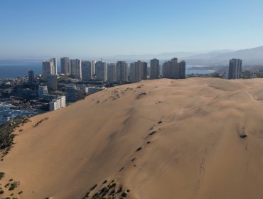 Alcalde de Concón lamentó ausencia de Reconsa en mesa por cuidado de las dunas: "Se requiere un esfuerzo mayor de protección"