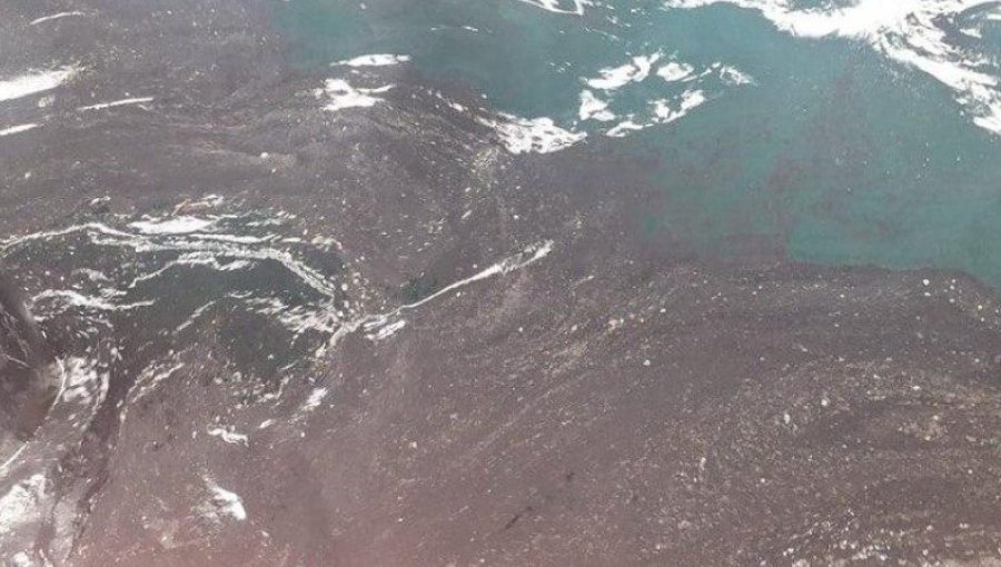 Interponen denuncia criminal ante Fiscalía por vertimiento de combustible en la bahía de Valparaíso: acusan grave delito ambiental
