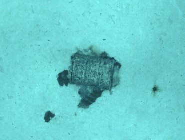 Expedición francesa descubrió 3.550 bidones radioactivos en la Fosa Atlántica y de algunas fugas "probablemente de alquitrán"