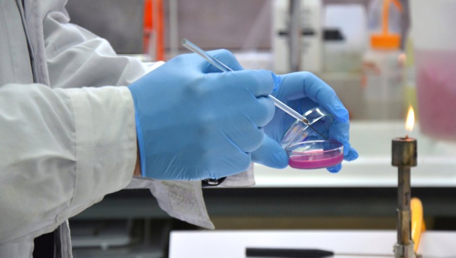 HUB Ambiental de la Universidad de Playa Ancha logra pionera acreditación internacional de su laboratorio