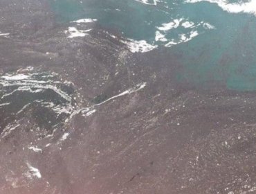 Interponen denuncia criminal ante Fiscalía por vertimiento de combustible en la bahía de Valparaíso: acusan grave delito ambiental
