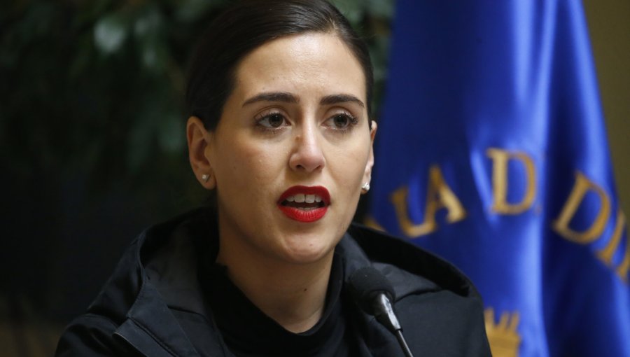 Alcaldesa Ripamonti está citada a comisión investigadora para aclarar su rol en la reconstrucción tras el megaincendio