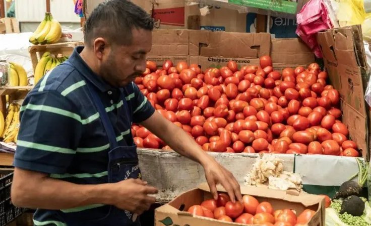 Tres efectos que pueden tener los aranceles que Trump impuso a los tomates mexicanos