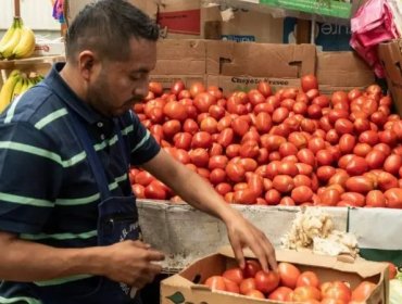 Tres efectos que pueden tener los aranceles que Trump impuso a los tomates mexicanos