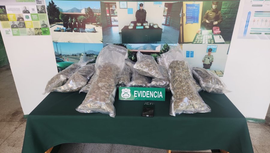 Carabineros detecta 11,8 kilos de marihuana en maleta al interior de un bus en Hijuelas