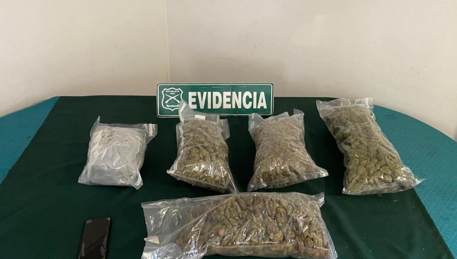 Detienen a sujetos a bordo de un auto que transportaba marihuana en Reñaca Alto
