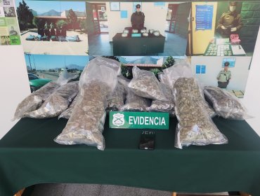 Carabineros detecta 11,8 kilos de marihuana en maleta al interior de un bus en Hijuelas