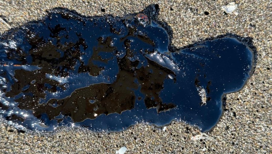 Investigan nuevo derrame de sustancia viscosa en la playa de Ritoque: Capitanía de Puerto de Quintero tomó muestras