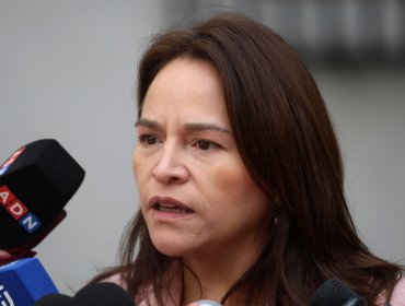 Diputada Joanna Pérez persiste en acusación constitucional contra el Gobierno si no progresa el voto obligatorio