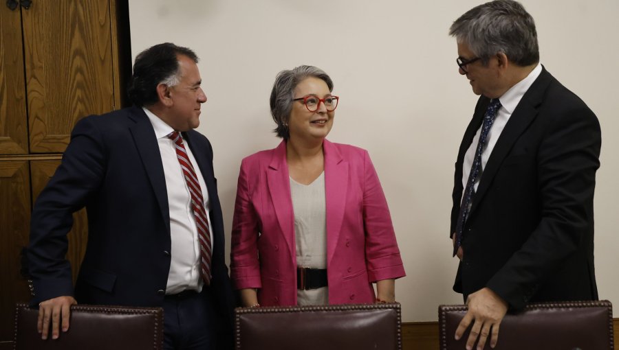 Juntas regionales de la Democracia Cristiana se están pronunciando en contra del respaldo a Jeannette Jara