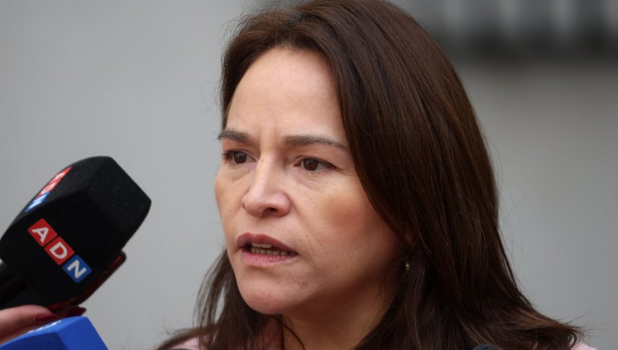 Diputada Joanna Pérez persiste en acusación constitucional contra el Gobierno si no progresa el voto obligatorio