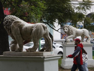 Grave daño patrimonial en Valparaíso: Uno de los leones de mármol instalados en el Parque Italia hace 119 años perdió parte de su cola