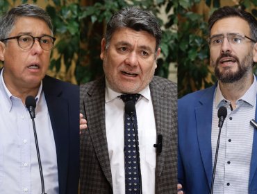PS confirma que diputados Arturo Barrios y Nelson Venegas buscarán la reelección y que Tomás De Rementería competirá por el Senado