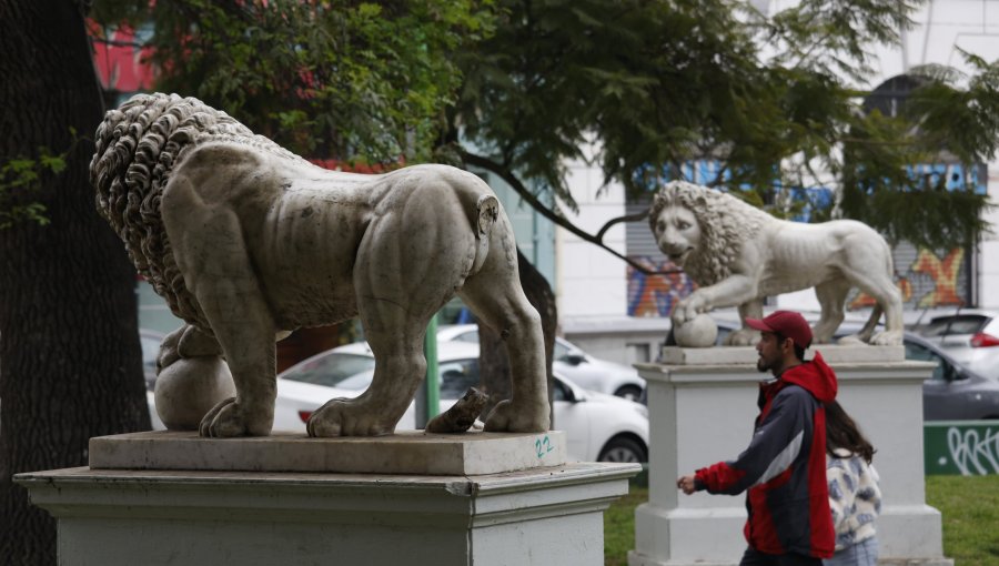 Grave daño patrimonial en Valparaíso: Uno de los leones de mármol instalados en el Parque Italia hace 119 años perdió parte de su cola
