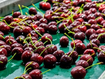 Nuevo récord en exportación de alimentos desde Chile: llegó a US$ 12.500 millones en primer semestre