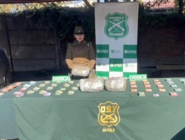 Desbaratan agrupación criminal dedicada a la venta de drogas en Chillán y Los Ángeles