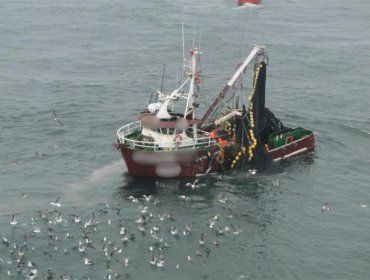 Corte Suprema confirma multa de unos $68 millones contra pesquera de la región de Valparaíso por descarte de merluza