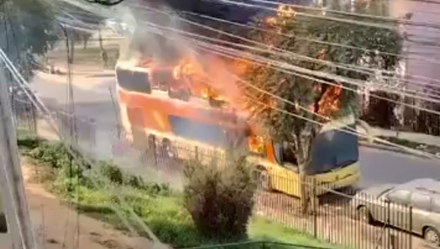 Bus habilitado para la venta de colaciones fue consumido por incendio en Villa Alemana