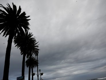 Emiten aviso por viento para Juan Fernández: rachas podrían alcanzar los 60 km/h