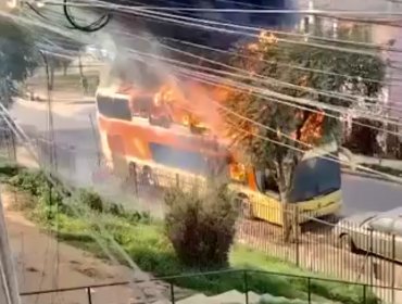 Bus habilitado para la venta de colaciones fue consumido por incendio en Villa Alemana