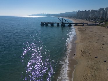 Disponen despliegue de equipos municipales en distintos puntos de Viña del Mar tras alerta de tsunami para las costas chilenas