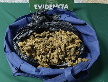 Fiscalización a sujeto que hablaba por celular mientras conducía permite detectar 900 gramos de marihuana elaborada en Quilpué