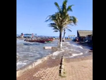 Registro capta el momento exacto de la llegada del tsunami a una caleta en Rapa Nui