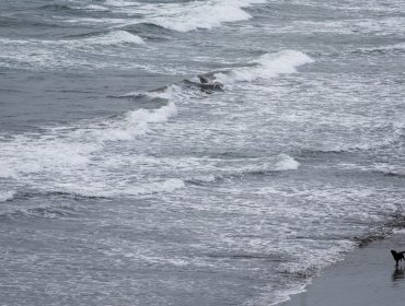 Reducen de Alerta a Estado de Precaución la amenaza de tsunami para la región de La Araucanía