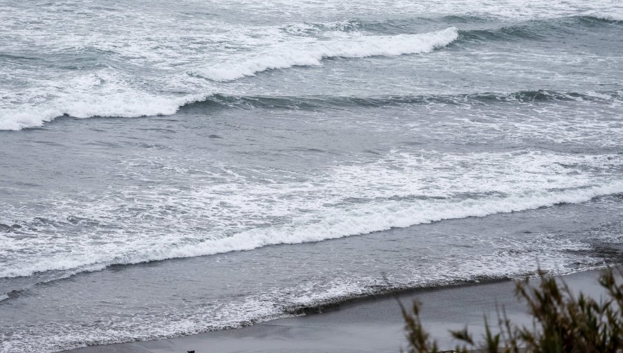 Boyeruca registra mayor aumento de nivel del mar por tsunami: perturbación de 2,5 metros