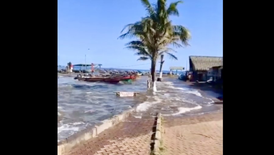 Registro capta el momento exacto de la llegada del tsunami a una caleta en Rapa Nui