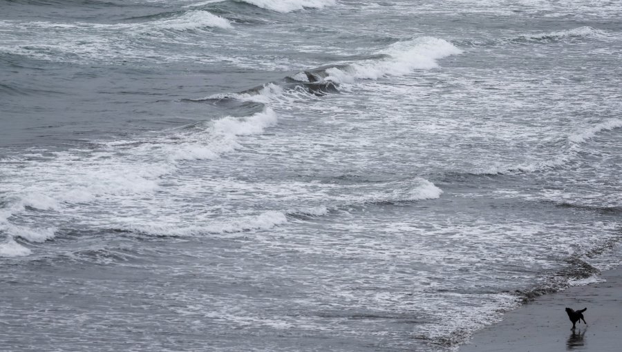 Reducen de Alerta a Estado de Precaución la amenaza de tsunami para la región de La Araucanía